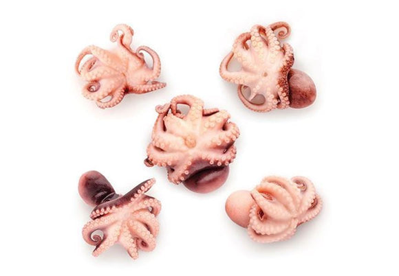 Baby Octopus PER KG