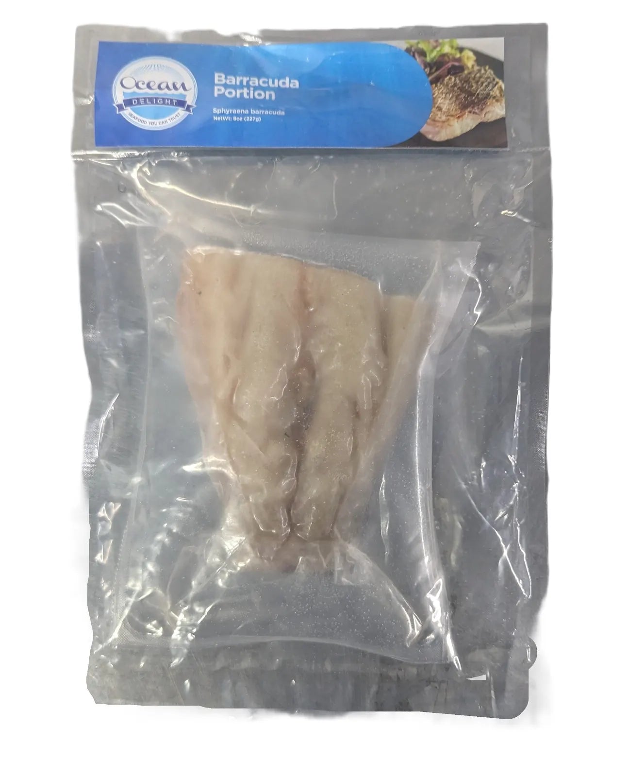FROZEN BARRACUDA PORTIONS