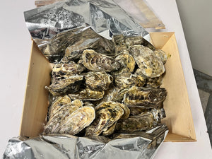 LIVE JERSEY OYSTERS