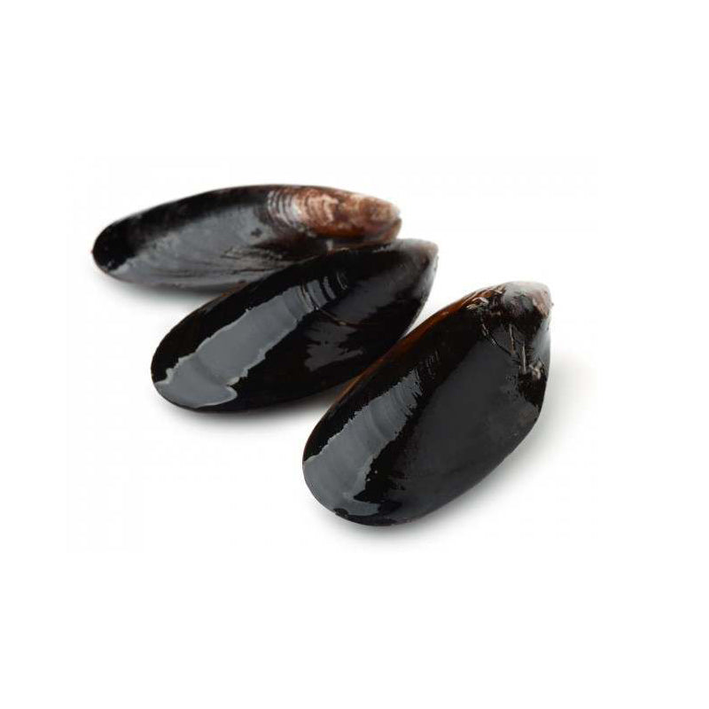 Chilean Mussels Whole - 1LB pack - frozen