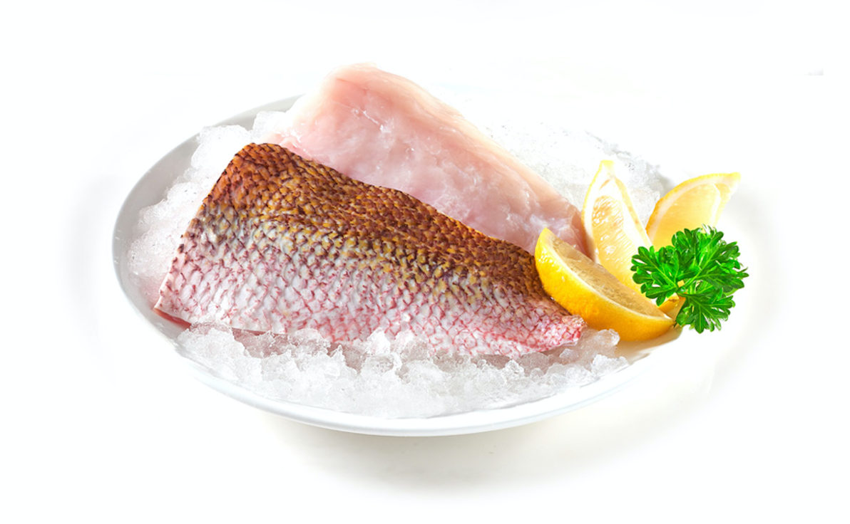 Red Snapper Filets 6/8 oz - frozen / Each