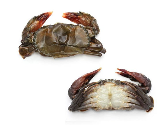 Soft Shell Crabs (12)