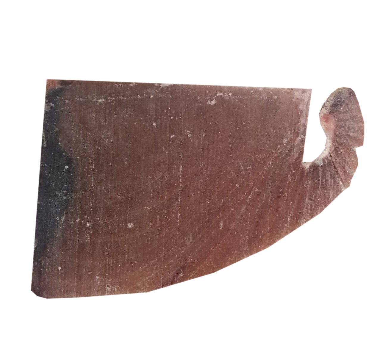 Tuna Whole/ Steaks (cut) - frozen /Per kg